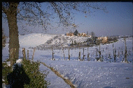 Along the descent from Montebudello