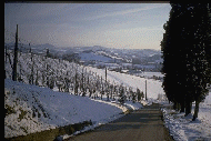 The plunge toward Monteveglio